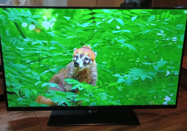 8. Снимка на телевизор Hisense LED Backlight TV; модел LTDN50K166WSEU