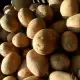 . Снимка на Продавам семе за картофи