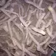 . Снимка на Продавам фиданки и коренови резници от Пауловния томентоса