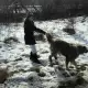 . Снимка на Изгубено куче, кавказка овчарка