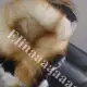 . Снимка на Дамски ботуши с пух Хит Модел 2014 - 3313