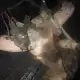 . Снимка на Изпускателен колектор сеат фолксваген 1.8 моно 90к.с.