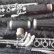 . Снимка на klarinet palen biom