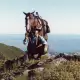 . Снимка на Уестърн седло за езда