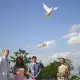 . Снимка на Бели гълъби за сватби, абитуриентски балове и тържества