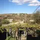 . Снимка на Къща до Бургас с Много Добра Панорама