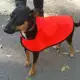 . Снимка на Дрехи за кучета - дъждобран - перелина