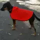 . Снимка на Дрехи за кучета - дъждобран - перелина