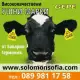 . Снимка на Ушни марки за крави и овце