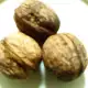 . Снимка на Продавам на дребно еко градински орехи с черупка 3 - 4 - 5см.