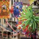 . Снимка на Карнавал в Дубровник