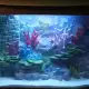 . Снимка на Изработвам уникални аквариуми и терариуми с 3D фон
