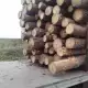 . Снимка на Kупувам дървa за огрев и трупи от райна на Бургас