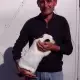 . Снимка на Продавам елитни калифорнийски зайци