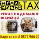 . Снимка на Animal taxi