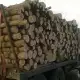 . Снимка на дърва на едро и износ