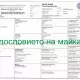 . Снимка на Словенски Шампион ПУДЕЛ Джудже с РОДОСЛОВИЕ с цвят шок