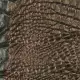 . Снимка на 3D Декоративни мазилки, Стуко - Венецианска мазилка, Интериорн