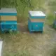 . Снимка на Пчелни отводки