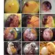 . Снимка на Автоматични Дигитални инкубатори за Птичи яйца