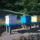 . Снимка на Пчелни кошери