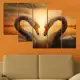 . Снимка на Декоративно пано за стена от 5 части - Сърце от лебеди