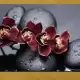 . Снимка на Картина пано за стена от 1 част с лилава орхидея и Дзен камъ