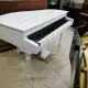 . Снимка на Роял, Дигитален роял, В наличност цвят бял. Акустико