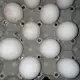 . Снимка на Яйца от Гъски оплодени