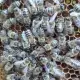 . Снимка на приемам заявки за малки пчелни семейства (карника) отводки