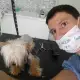 . Снимка на Подстригване на кучета, салон Куче Нинджа