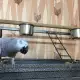 Продавам Кралско Жако 