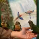 . Снимка на Ръчно хранени бебета пирура и други папагали