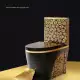 . Снимка на Луксозен Дизайнерски Моноблок за Баня и тоалетна