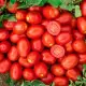 . Снимка на Продавам домати