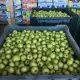 . Снимка на продавам ябълки на едро собственно производство