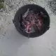 . Снимка на Дървени въглища за скара и барбекю КОМ ГРИЛ