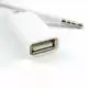 . Снимка на AUX кабел - женско USB Към 3.5мм жак