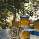 . Снимка на Продавам пчелен мед