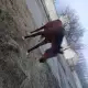 . Снимка на Български спортен кон