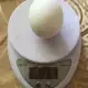 . Снимка на Оплодени разплодни яйца о бял Легхорн