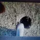 . Снимка на Копам дупки за дръвчета и ограда