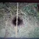 . Снимка на Копам дупки за дръвчета и ограда