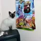 . Снимка на Продавам породисти сиамски котета