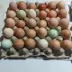 . Снимка на Яйца от свободно отглеждани кокошки