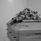 . Снимка на Траурна агенция Рея - Погребални услуги, кетъринг, документи