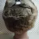 . Снимка на Мъжка руска шапка с естествен заешки косъм - 1