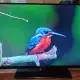 . Снимка на телевизор Hisense LED Backlight TV; модел LTDN50K166WSEU