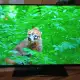 . Снимка на телевизор Hisense LED Backlight TV; модел LTDN50K166WSEU